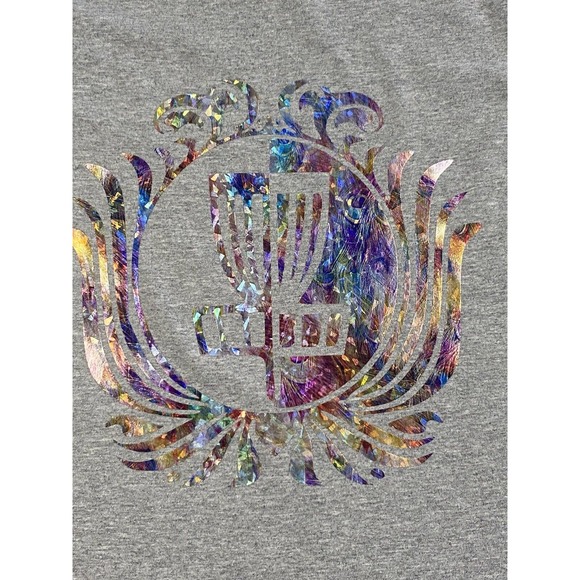Disc Golf Shirt RAINBOW HOLOGRAPHIC Basket Logo Graphic T-Shirt M GREY - Picture 3 of 11
